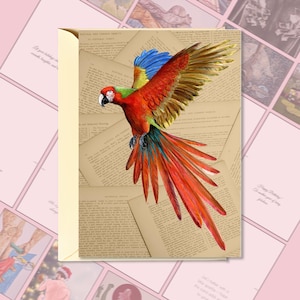 Arara Colorida em Voo - Cartão de Saudação para Imprimir por Artista LGBTQ | DIY Nature Art