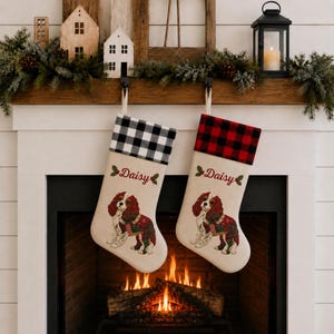 May include: Two cream-coloured Christmas stockings featuring a Cavalier King Charles Spaniel illustration, the name Daisy in red script, and holly accents. One stocking has a black and white buffalo check cuff, the other a red and black cuff.