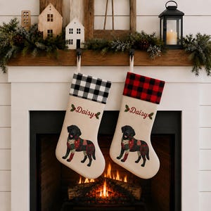 May include: Two cream-colored Christmas stockings featuring a black Labrador retriever wearing a patterned scarf. One stocking has a black and white buffalo check cuff, the other a red and black check cuff. Both are embroidered with the name Daisy.