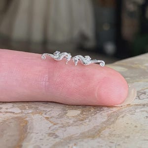 May include: A pair of silver seahorse earrings. The earrings are small and delicate, and they are perfect for adding a touch of whimsy to any outfit.