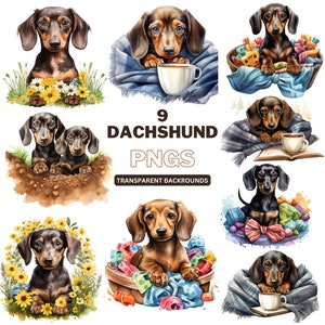 Dachshund PNG Bundle - Dog PNG, Dog Clipart For Crafting, Pet Lovers Wall Art - Watercolour png