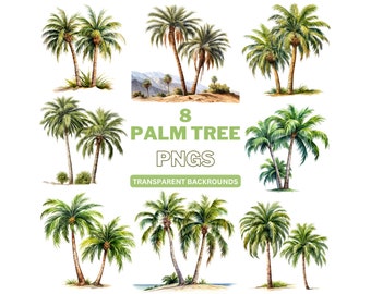 Watercolor Palm Tree Clipart: Tropical PNG Graphics (Commercial Use)