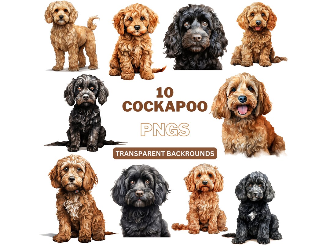 Cockapoo Watercolor Clipart: Dog PNG Bundle (commercial Use) - Etsy