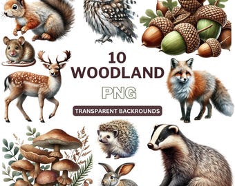 Watercolor Woodland Animals Clipart: Forest Creatures PNG (Digital Download)