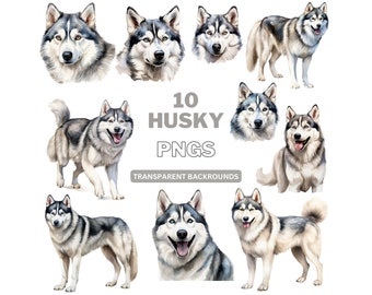 Husky PNG Bundle, Hund PNG, Hunde Clipart, druckbare Hundekunst für Haustierliebhaber, Tier Aquarell - Kommerzielle Nutzung