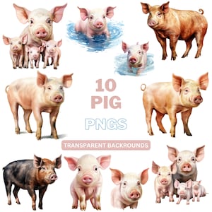 Könnte beinhalten: Zehn digitale Illustrationen von rosa Schweinen in verschiedenen Posen. Die Schweine sind in Aquarell-Manier mit weichen, realistischen Details dargestellt. Die Bilder eignen sich perfekt für die Verwendung in digitalem Scrapbooking, Kartenherstellung und anderen kreativen Projekten.