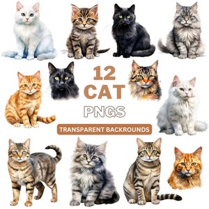 Watercolor Cat Clipart, Cute Cat png, Pet Clipart, Animal Clipart, Kitten Clipart, Commercial Use, Digital Download