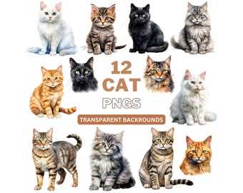 Watercolor Cat Clipart, Cute Kitten PNG, Commercial Use (Digital Download)