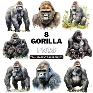 Gorilla png Bundle - Animal Clipart, Zoo Animal png, Watercolour png, Paper Craft Sublimation Design