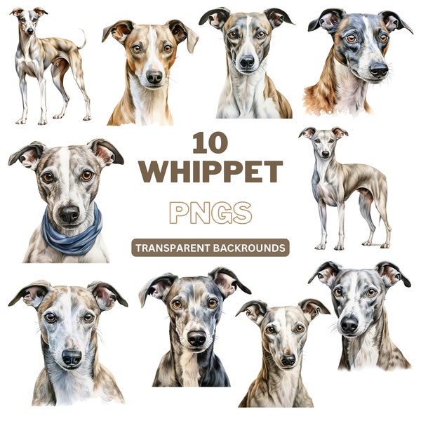 Whippet PNG Bundle, Dog PNG, Dog Clipart, Printable Dog Art For Pet Lover, Animal Watercolour - Commercial Use