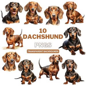 Dachshund Clipart, Dachshund png, Dog Clipart, Dachshund Vector, Digital Download, Watercolor Clipart, Junk Journal