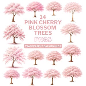 Może przedstawiać: Ilustracja 14 różowych drzew wiśniowych z brązowymi pniami i bujnymi, różowymi koronami. Tekst brzmi: "14 PINK CHERRY BLOSSOM TREES PNGS TRANSPARENT BACKGROUNDS."