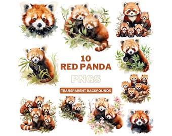 Aquarell Roter Panda Clipart: Tier PNG-Bilder (digitaler Download)
