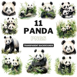 Panda Clipart, aquarel Panda PNG, dierlijke clipart voor commercieel gebruik, Panda Bear afdrukbare muurkunst, digitale download