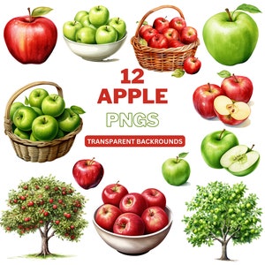 Apple Clipart, Apple PNG, Fruit Clipart, Summer Clipart, Printable Wall Art, Digital Download, Commercial Use