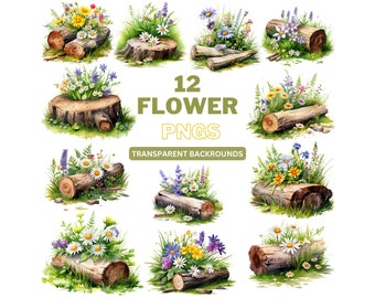 Watercolor Wildflower Clipart: Cottagecore Spring Flowers (PNG Digital Download)