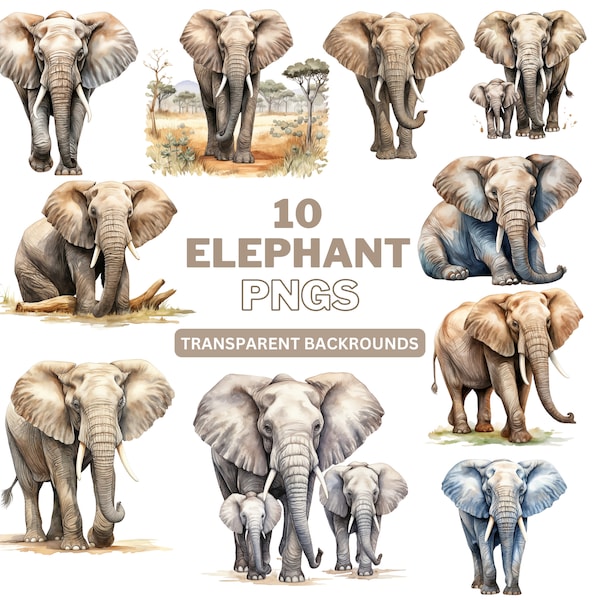 Elephant Watercolor Clipart - Elephant png, Safari Animals png, Sublimation Design, Digital Download For Commercial Use