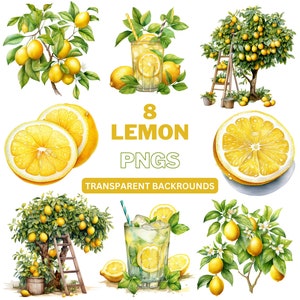 Lemon PNG Bundle - Lemon Clipart, Summer png, Spring Png, Fruit PNG, Lemon Tree, Spring Clipart - Watercolour PNG