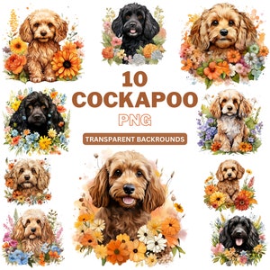 Pacote Cockapoo PNG, PNG de cachorro, clipart de cachorro, arte de cachorro para impressão para amantes de animais de estimação, aquarela de animais - uso comercial