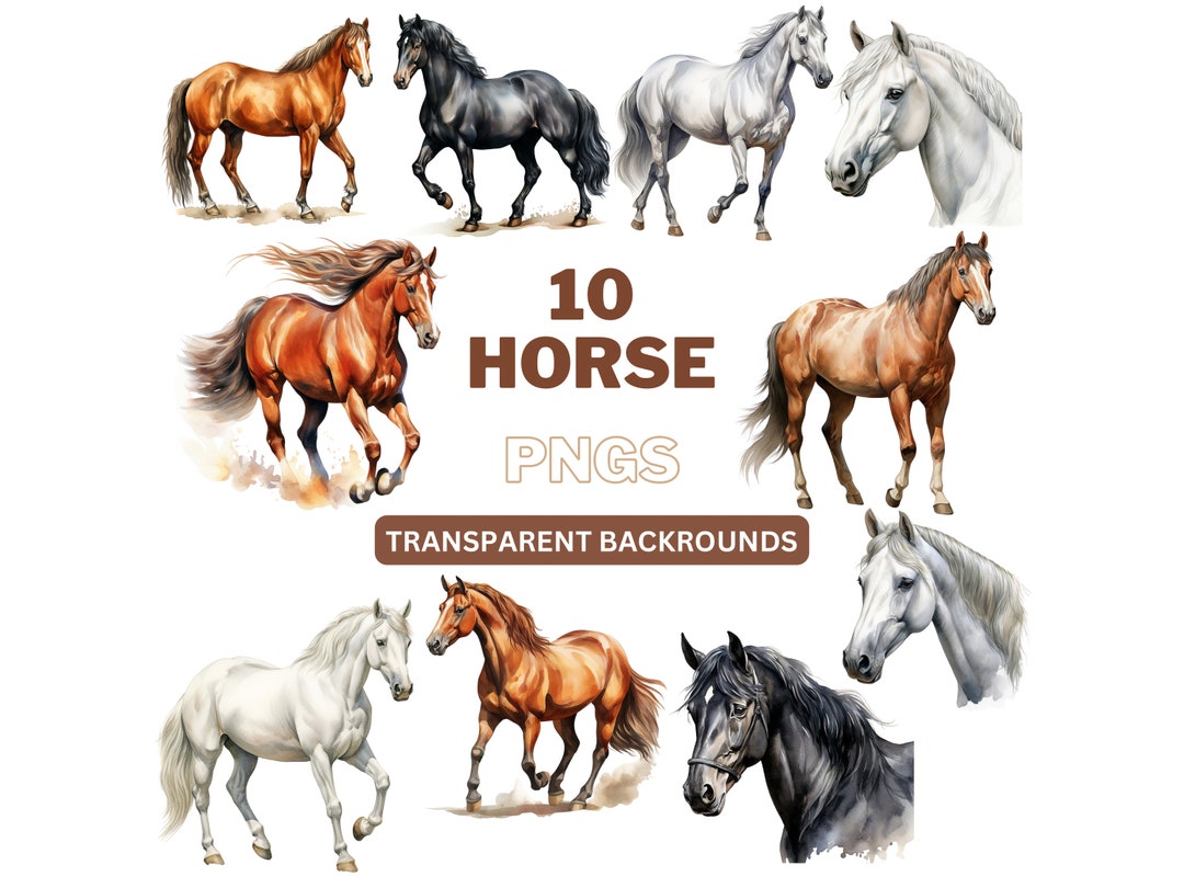 Horse PNG, Equestrian Art, Horse Clipart, Printable Horse Illustration ...