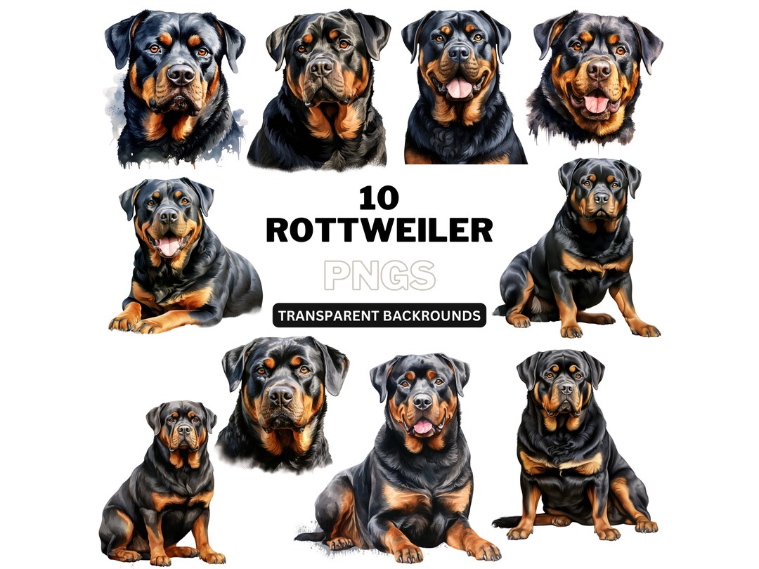 Rottweiler PNG Bundle, Dog PNG, Dog Clipart, Printable Dog Art for Pet ...