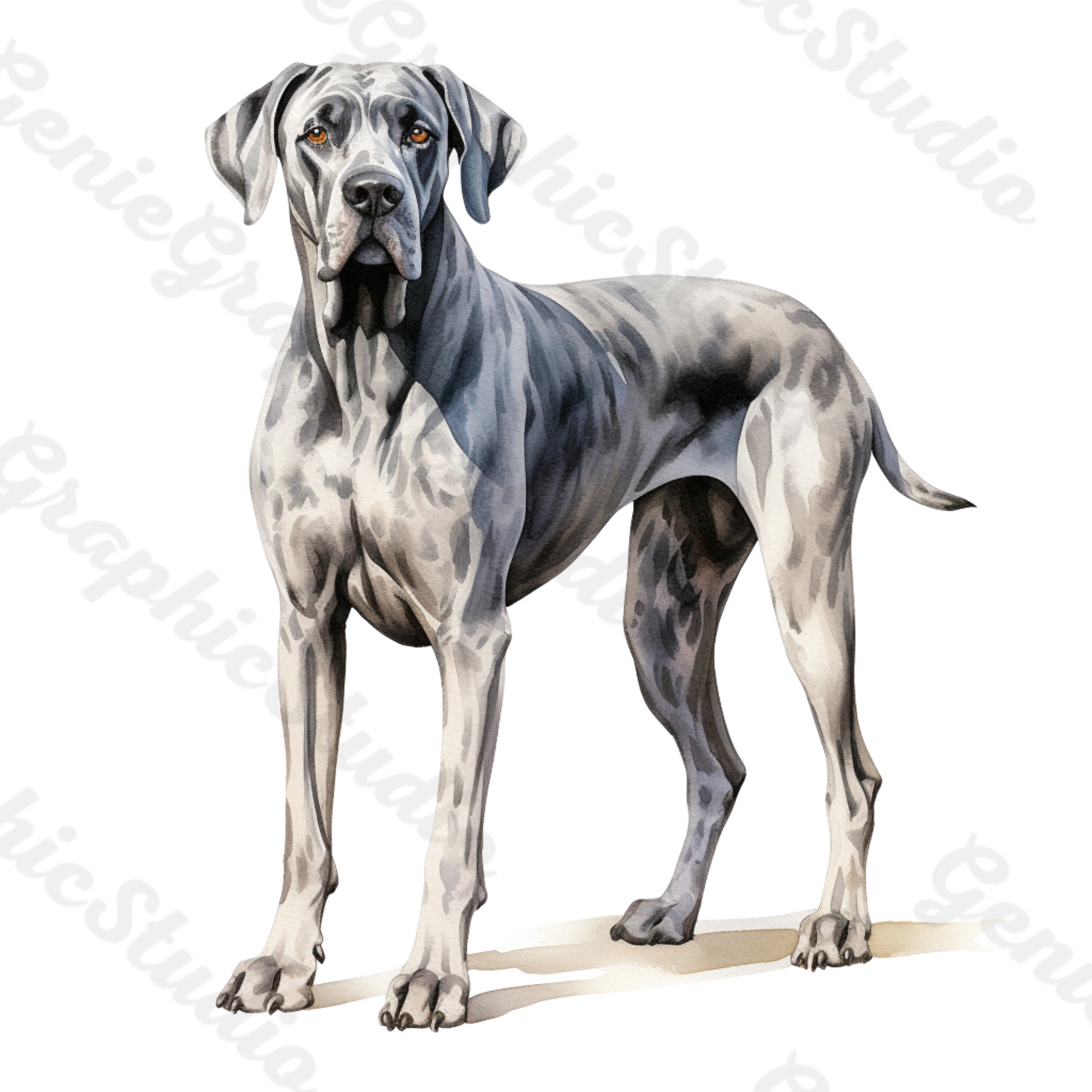 Great Dane PNG Bundle, Dog PNG, Dog Clipart, Printable Dog Art for Pet
