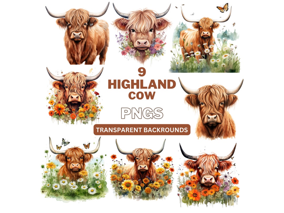 Watercolor Highland Cow PNG Clipart: Farm Animal Graphics (digital ...