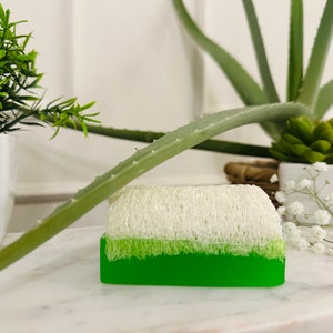 Luffa Seife Peeling Seife handmade Naturprodukt Kürbisfaser Aloe Vera Handgemachte Natürliche Kürbisfaser Seife,Aloe Vera, luffaseife Bild 1