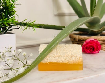 Luffa Seife Peeling Seife handmade Naturprodukt Kürbisfaser Aloe Vera Handgemachte Natürliche Kürbisfaser Seife,Aloe Vera, luffaseife