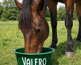 Personalisierte Futterschüssel • 5 Liter • Pferd • Pferdeliebe • Geschenkidee • Individuell