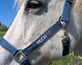 Personalisiertes Halfter • Pferd • individuell • Stall • Halfter mit Name