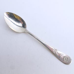 Hotel Astor Silverplate 4 1/8&quot; Demitasse Spoon with Raised Aster Flower
