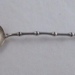 Cucchiaio souvenir in argento sterling a forma di lucertola lunare di Norfolk, Virginia