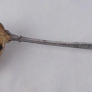 Gorham Palm Sterling Silver Bucket Cream Ladle
