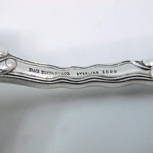 Atlantis / Ailanthus (1899) by Tiffany Sterling 8 7/8" Waffelheber Mono "G" Bild 5