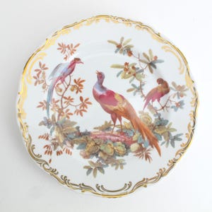 Exotic Birds - Andrea by Sadek Porcelain 8 1/4&quot; Salad Plate(s) Motif C