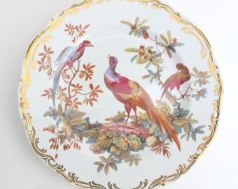 Andrea by Sadek Exotic Birds Porcelain Plate 8