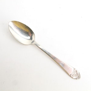 May include: A silver spoon with a rounded bowl and a long, slender handle. The handle has a decorative design at the end. The spoon is likely made of stainless steel or a similar metal. The spoon is on a white background.