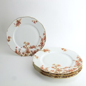 Frank Haviland Limoges Porzellan 4-teiliges Speiseteller-Set, rostfarben, Wiesenblumen