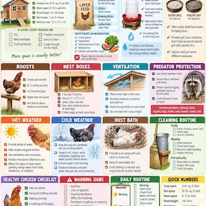 May include: A Chicken Keeper Cheat Sheet infographic featuring sections on coop basics, feed, water, calcium, grit, roosts, nest boxes, ventilation, predator protection, weather care, cleaning routines, and checklists with text and illustrations of chickens.