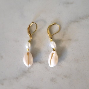 Cowrie Shell Earrings