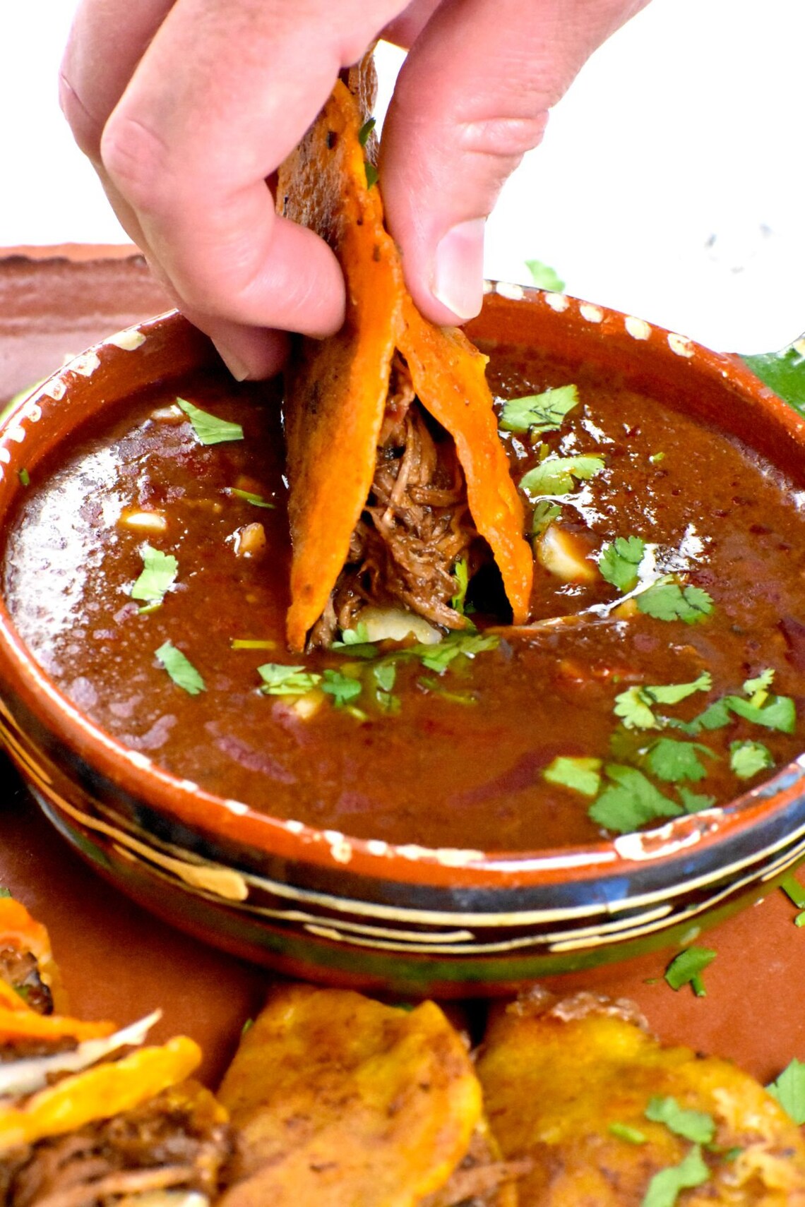 Birria Tacos Recipe - Etsy