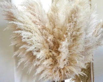 10pcs Wholesale Boho Wedding Decor Plume Dry Pampas Grass Flower Arrangement Dried Pampas for Home Decor - Rustic Chic Wedding Centerpiece