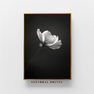 Monochrome Floral Art &quot;Monochrome Flower&quot; Digital Print | Black and White Wall Art | Contemporary Home Decor Minimalist Flower Downloadable