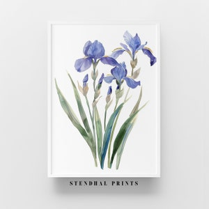 Puede incluir: Una pintura de acuarela de un ramo de iris azules con hojas y capullos verdes. La pintura está sobre un fondo blanco y tiene el texto "STENDHAL PRINTS" en la parte inferior.