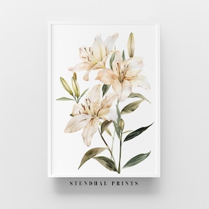 Könnte beinhalten: Ein Aquarellbild eines Straußes weißer Lilien mit braunen Flecken. Die Lilien sind in einer Vase angeordnet und haben grüne Blätter. Das Bild ist unten rechts mit "STENDHAL PRINTS" signiert.