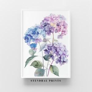 Könnte beinhalten: Ein Aquarellbild von drei Hortensienblüten in Blautönen, Lila und Rosa. Die Blüten sind zu einem Strauß angeordnet und haben grüne Blätter. Das Bild ist unten rechts mit "STENDHAL PRINTS" signiert.