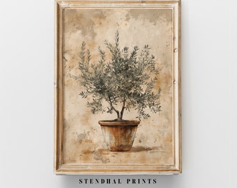Vintage Mediterranean Olive Plant Art "Olive Tree Legacy" Print | Rustic Kitchen Decor Download | Timeless Botanical Illustration