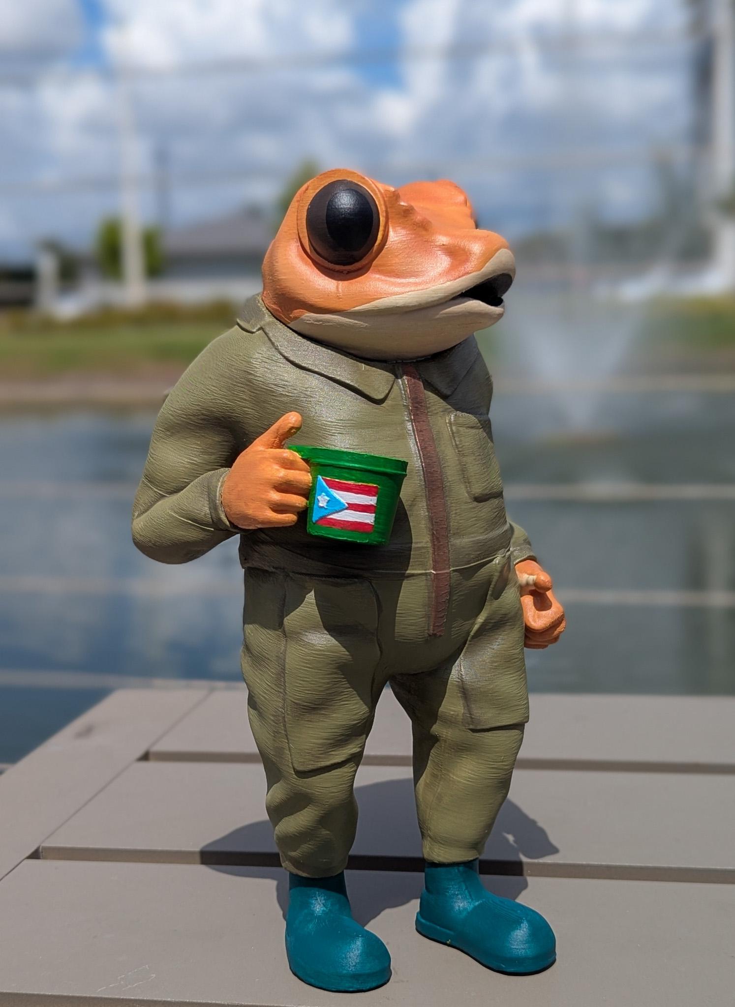 Sapo Concho Figure (debi Tirar Más Fotos) - Etsy