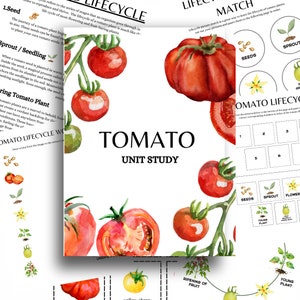 TOMATEN Eenheidsstudie | Levenscyclus | Anatomie | Natuurstudie | Wetenschap | Schrijven |Thuisonderwijs | Montessori | Afdrukbaar | INSTANT DOWNLOAD